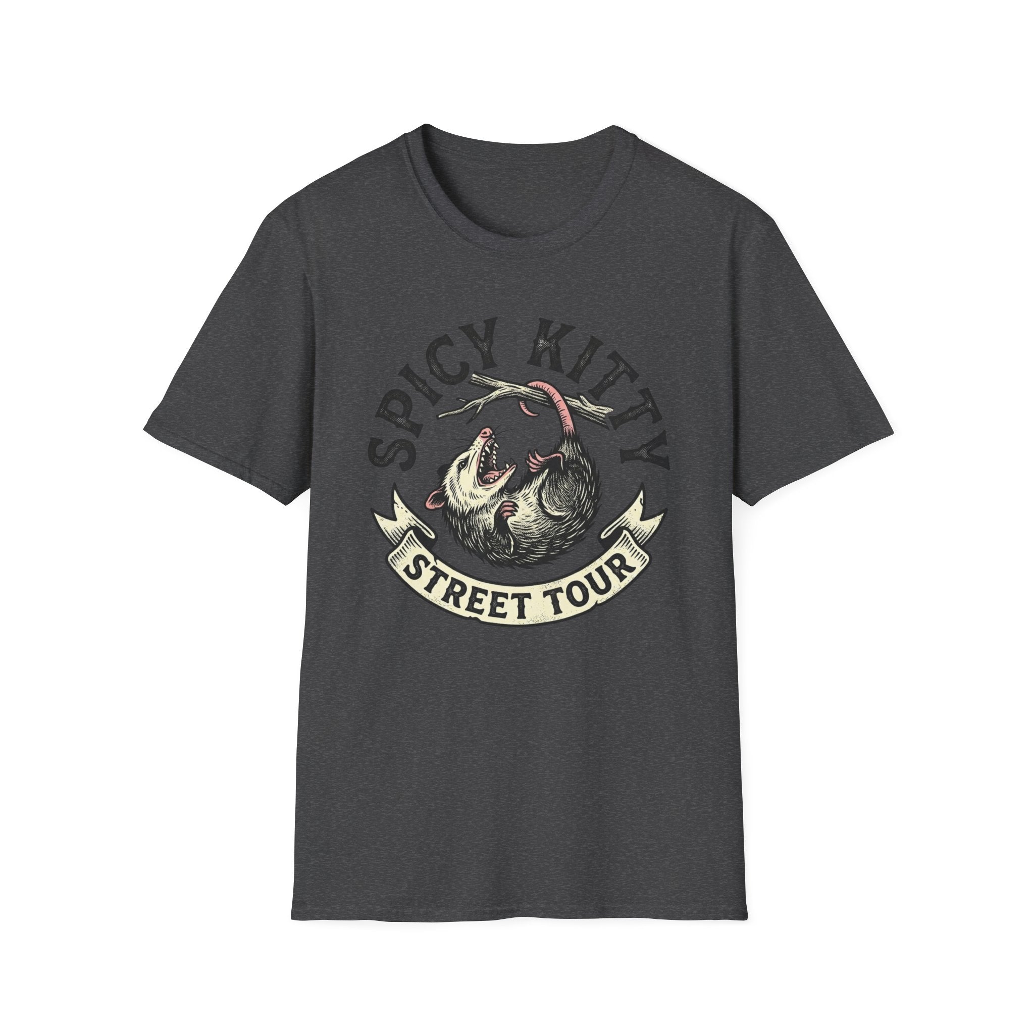 Spicy Kitty Street Tour T-Shirt