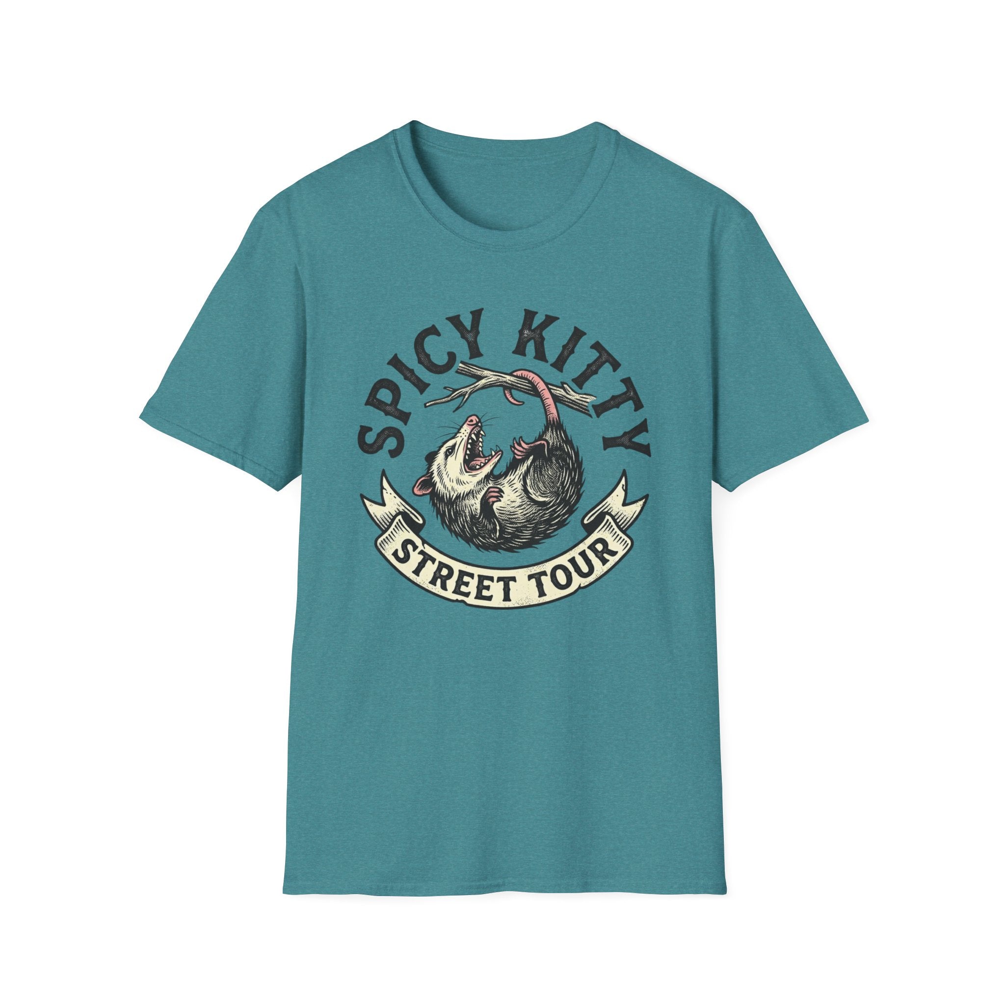 Spicy Kitty Street Tour T-Shirt